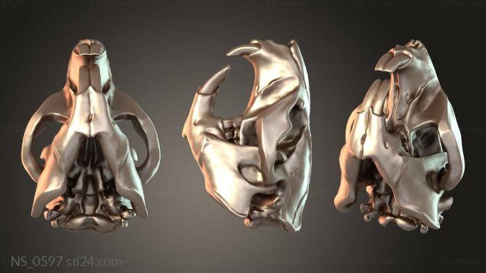 Beaver Skull