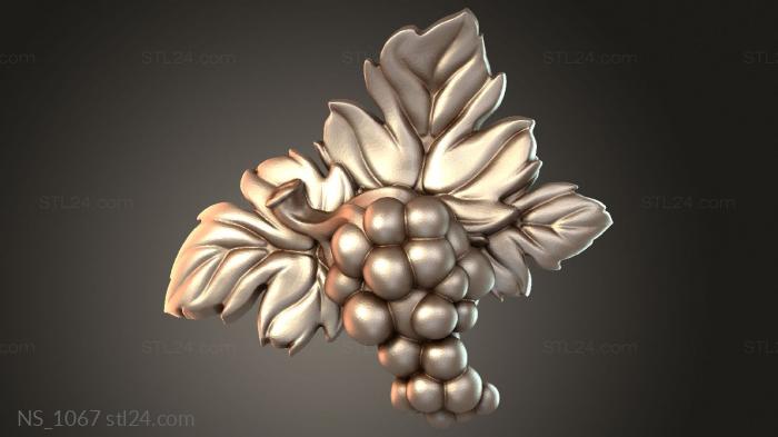 Dranken Dwarf Grapes Set