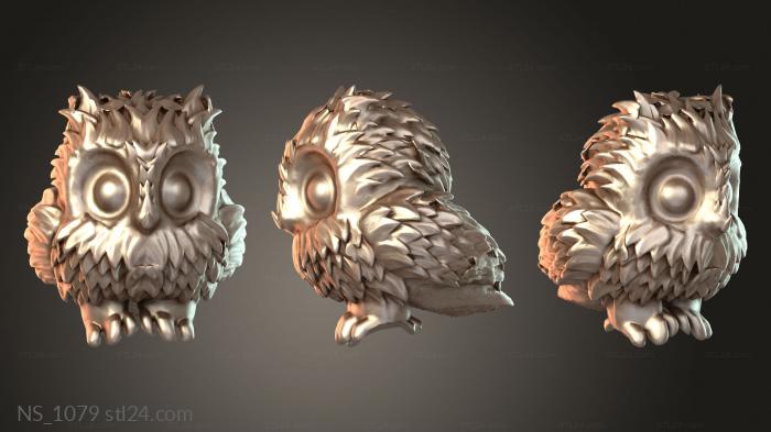 Druid Owl