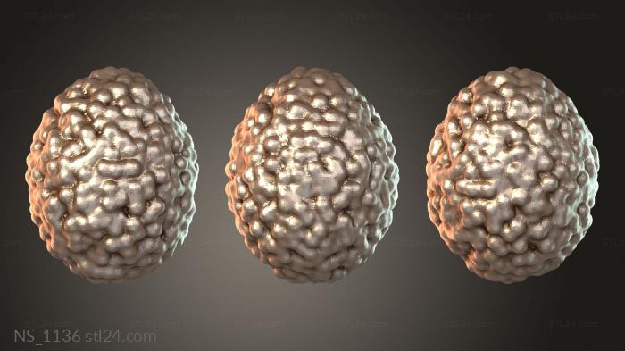 Egg – Molecular