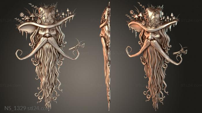 Gandalf radagast