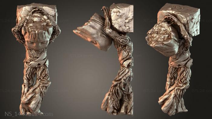 Groot Sonador Sonhador