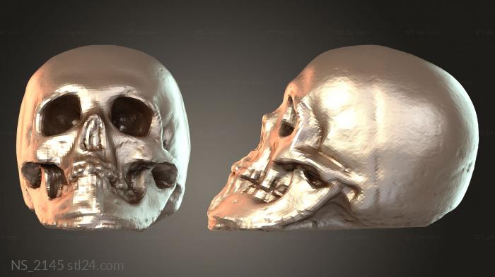 Old Skull