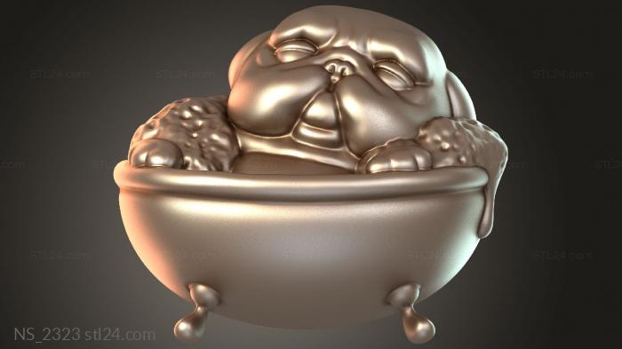 Playful Pug in Bath