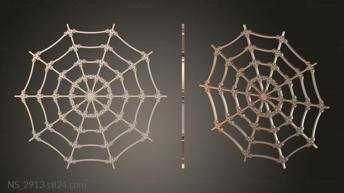 The Spider Spiders Web