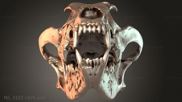 Wolf Skull Savage