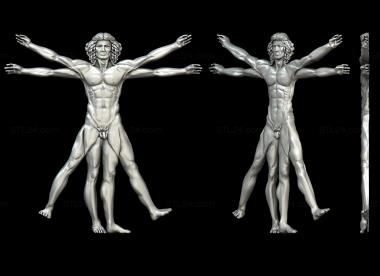 Art panel (Vitruvian Man, PD_0531) 3D models for cnc