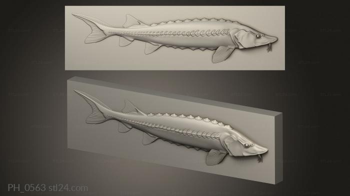 Art pano (Panel fish Sturgeon, PH_0563) 3D models for cnc