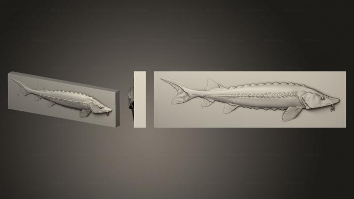 Панно художественные (Панно рыбка Осетр, PH_0563) 3D модель для ЧПУ станка