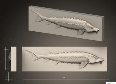 Art pano (Panel fish Sturgeon, PH_0563) 3D models for cnc