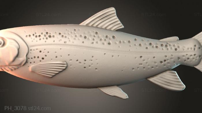 Art pano (PH_3078) 3D models for cnc