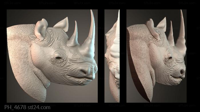 Art pano (PH_4678) 3D models for cnc