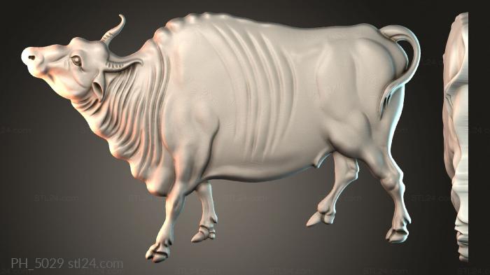 Art pano (PH_5029) 3D models for cnc