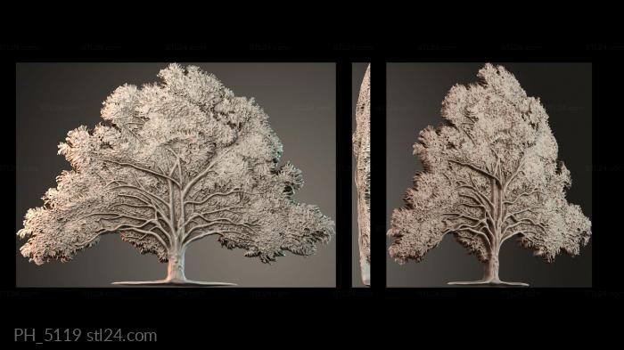 Art pano (PH_5119) 3D models for cnc