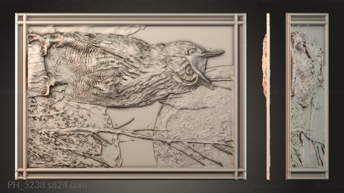 Art pano (PH_5238) 3D models for cnc