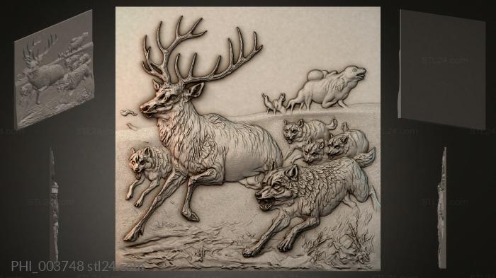 PHI_003748 3d STL model