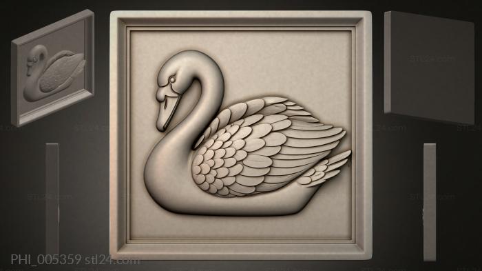 PHI_005359