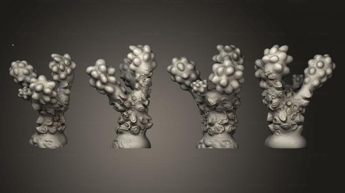 Растения (Инопланетный Органический А 019, PLANT_0054) 3D модель для ЧПУ станка