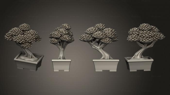 Растения (Бонсай 1, PLANT_0119) 3D модель для ЧПУ станка
