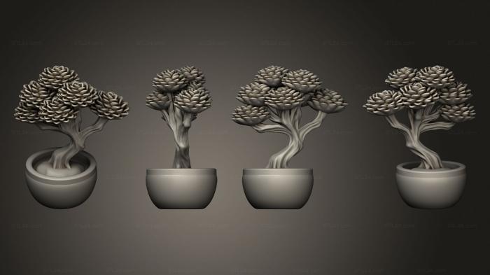 Растения (Бонсай 2, PLANT_0120) 3D модель для ЧПУ станка