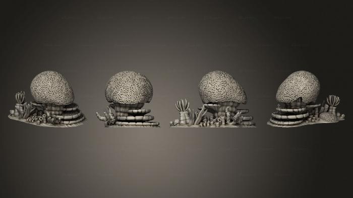 Растения (Мозг и разветвленные кораллы Coral A, PLANT_0130) 3D модель для ЧПУ станка