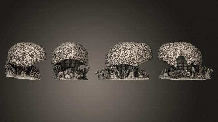 Растения (Мозговые и разветвленные кораллы Coral B, PLANT_0131) 3D модель для ЧПУ станка