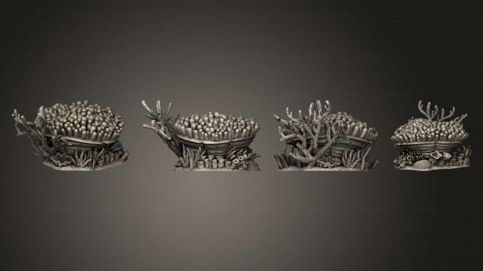 Растения (Мозг и разветвленные Кораллы Рыбы - Анемоны, PLANT_0135) 3D модель для ЧПУ станка