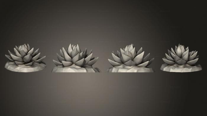 Растения (ПУСТЫННЫЙ Кактус 1 007, PLANT_0359) 3D модель для ЧПУ станка