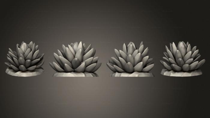 Растения (ПУСТЫННЫЙ Кактус 1 008, PLANT_0360) 3D модель для ЧПУ станка