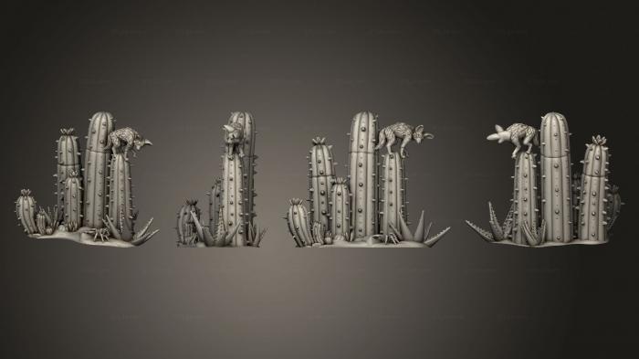 Растения (Пустынный Кактусовый Лис, PLANT_0362) 3D модель для ЧПУ станка