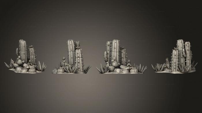 Растения (Пустынная Кактусовая Ящерица, PLANT_0364) 3D модель для ЧПУ станка