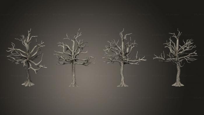 Растения (Лесное мертвое дерево V 3, PLANT_0492) 3D модель для ЧПУ станка