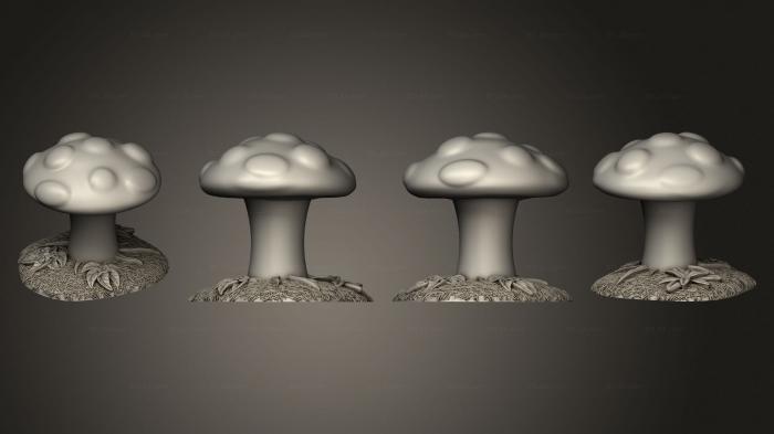 Растения (Лесной гигантский гриб, PLANT_0494) 3D модель для ЧПУ станка