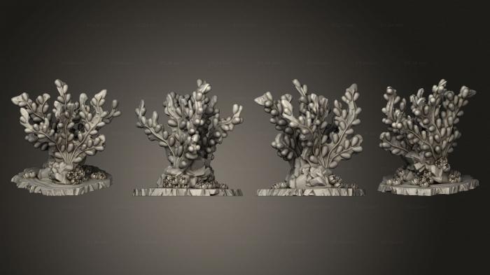 Растения (Гигантские Бурые Водоросли Часть 1 001, PLANT_0513) 3D модель для ЧПУ станка