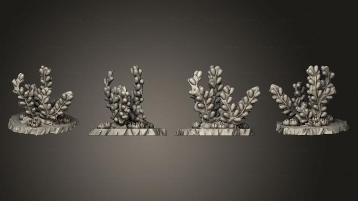 Растения (Гигантские Бурые Водоросли Часть 1 003, PLANT_0515) 3D модель для ЧПУ станка