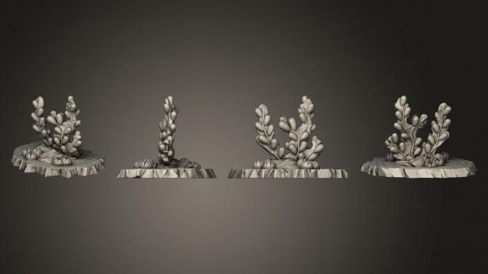 Растения (Гигантские Бурые Водоросли Часть 1 005, PLANT_0517) 3D модель для ЧПУ станка