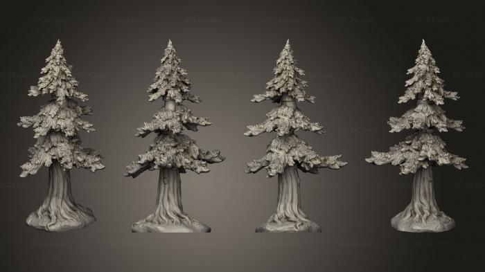 Растения (В лесное дерево 4, PLANT_0569) 3D модель для ЧПУ станка