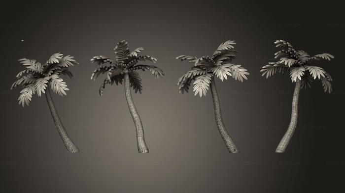 Растения (Мифос маори Типуа Ракушечное дерево 01 001, PLANT_0644) 3D модель для ЧПУ станка