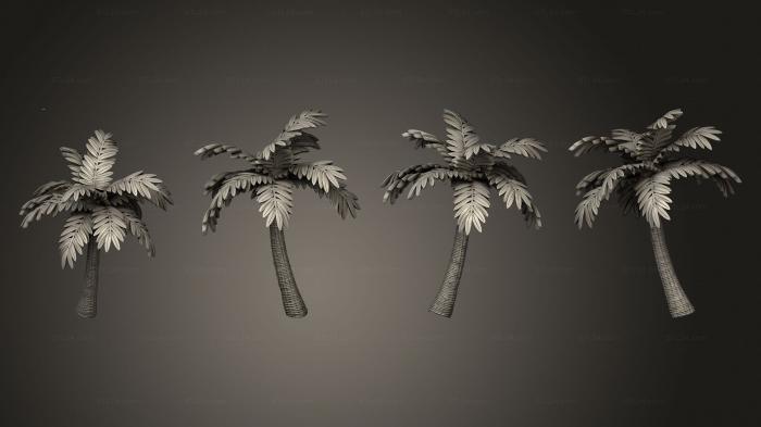 Растения (Мифос маори Типуа Ракушечное дерево 01 002, PLANT_0645) 3D модель для ЧПУ станка