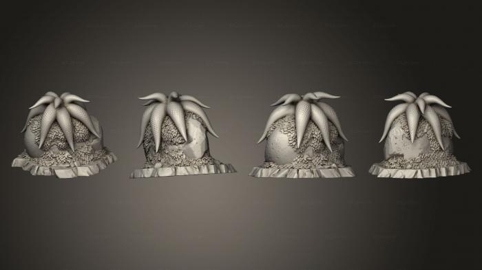 Растения (Таинственные Цветы Морской Звезды 3, PLANT_0664) 3D модель для ЧПУ станка