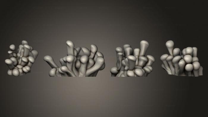 Растения (Болотное растение 12, PLANT_0971) 3D модель для ЧПУ станка