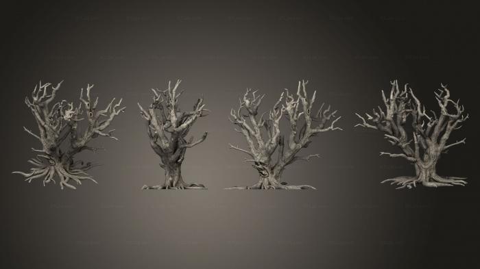 Растения (Деревья Сталкиваются С Деревом D С Лицом, PLANT_1039) 3D модель для ЧПУ станка