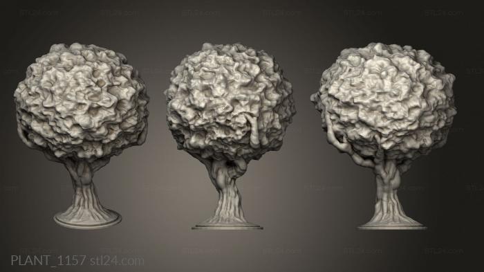 Растения (PLANT_1157) 3D модель для ЧПУ станка