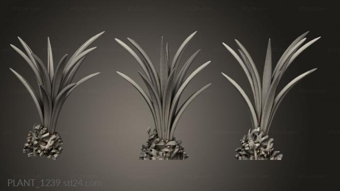 Растения (PLANT_1239) 3D модель для ЧПУ станка