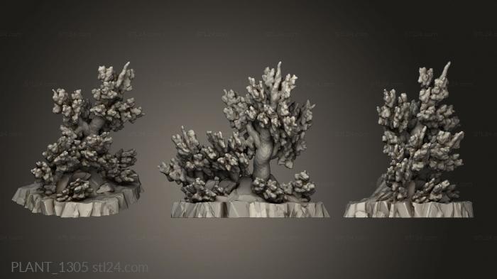 Растения (PLANT_1305) 3D модель для ЧПУ станка