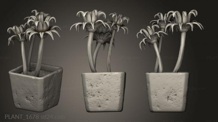 Растения (PLANT_1678) 3D модель для ЧПУ станка