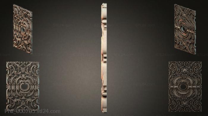 PNI_000705