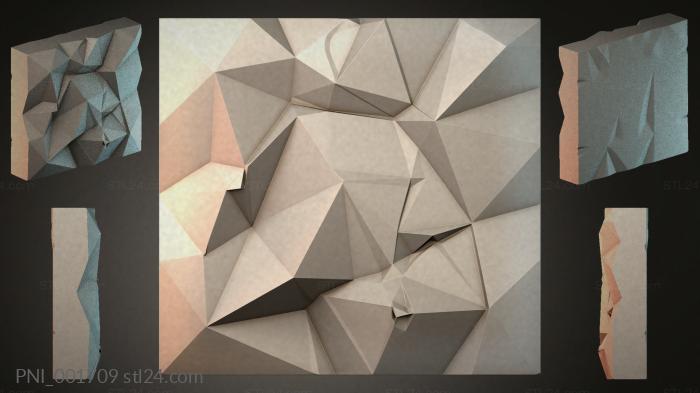 PNI_001709
