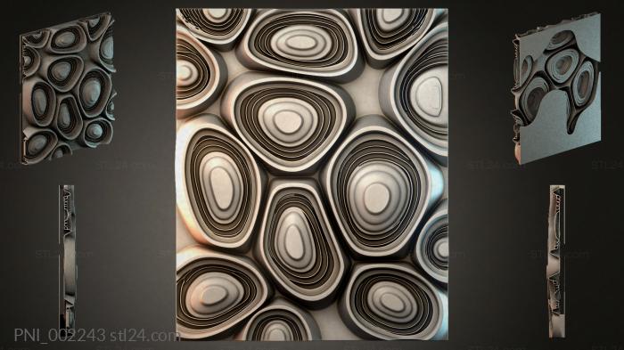 PNI_002243
