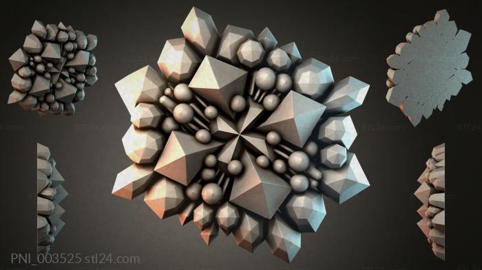 PNI_003525